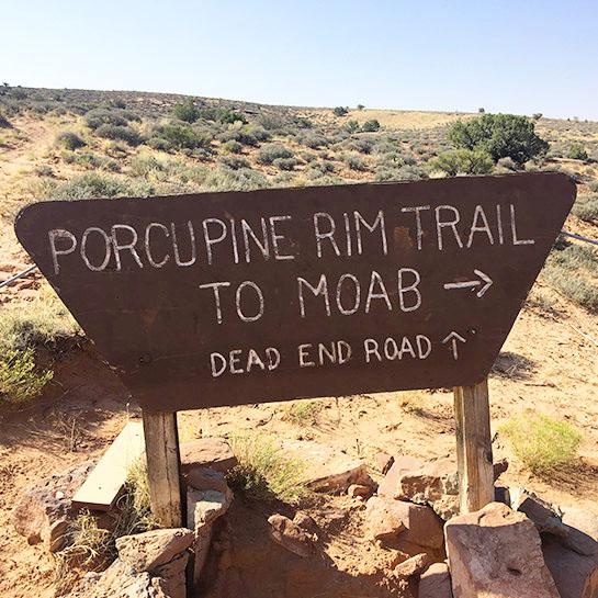 Mountain bikers riding on Moab's famous slickrock trails