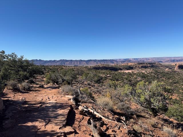 Raptor Route - Photo 2