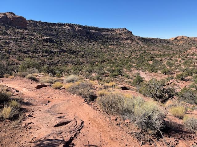 Raptor Route - Photo 7