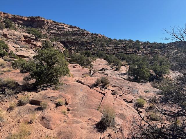 Raptor Route - Photo 8
