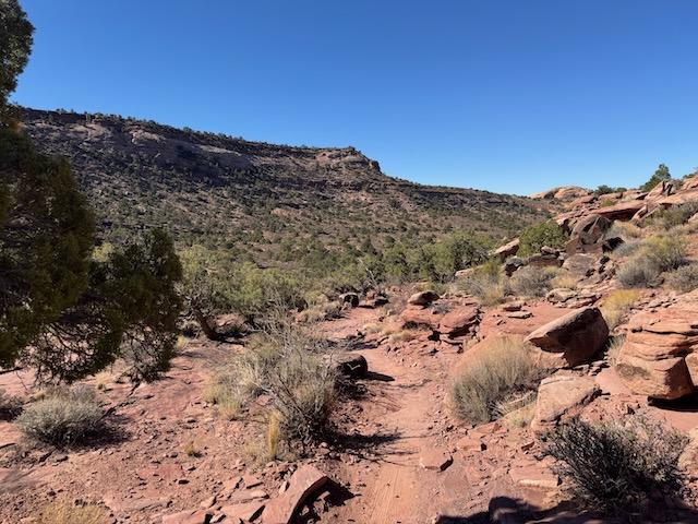 Raptor Route - Photo 9