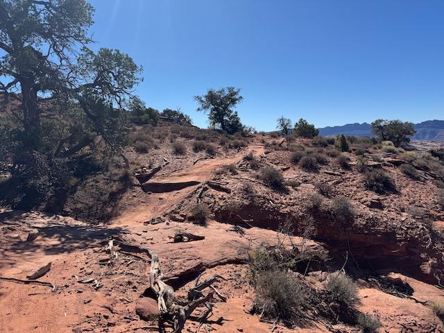 Raptor Route - Photo 11