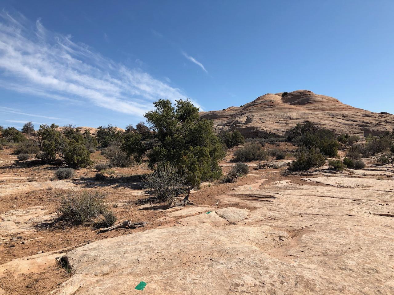 Rocky Tops Ramblin Loop - Photo 11