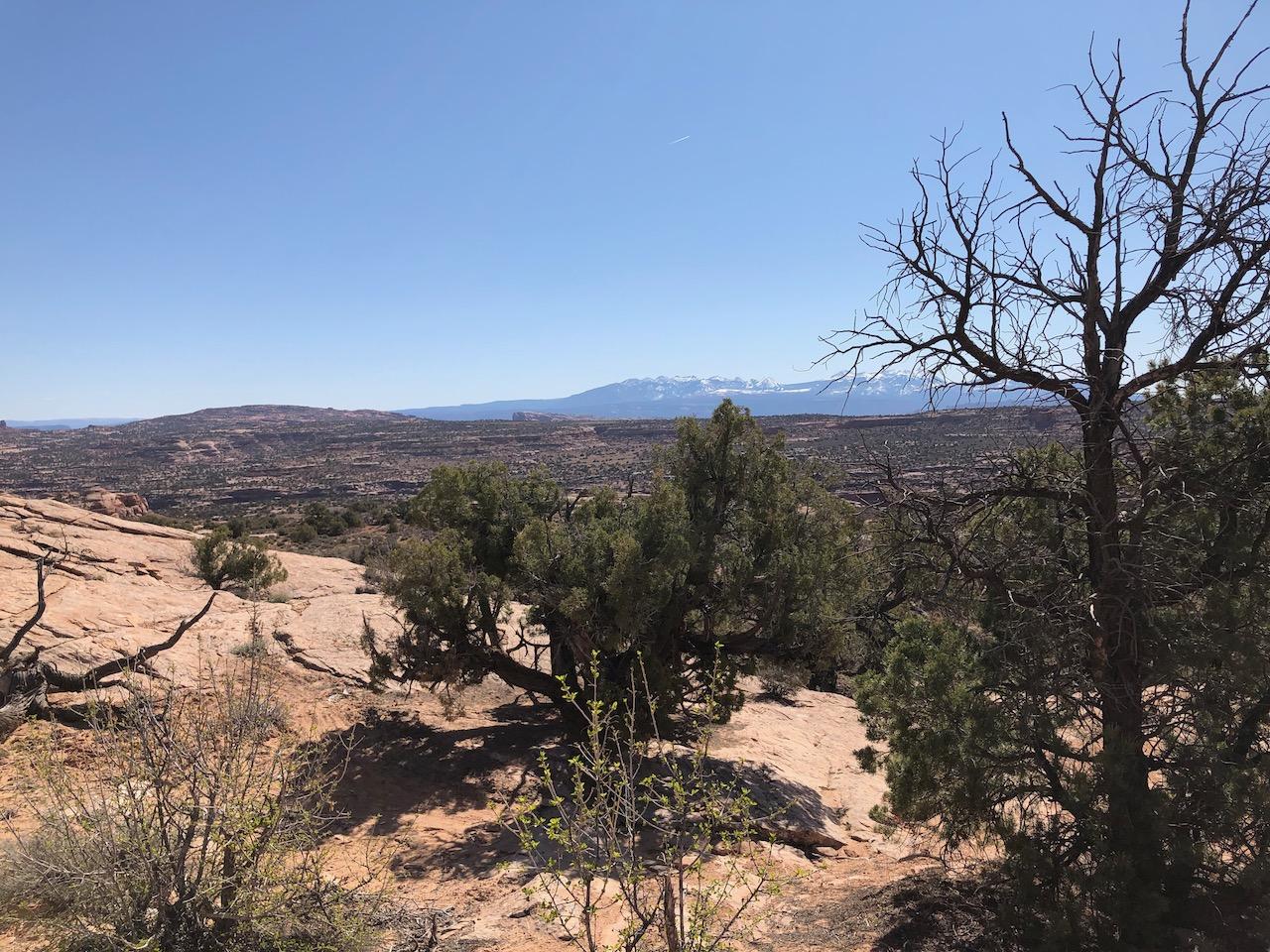 Rocky Tops Ramblin Loop - Photo 13