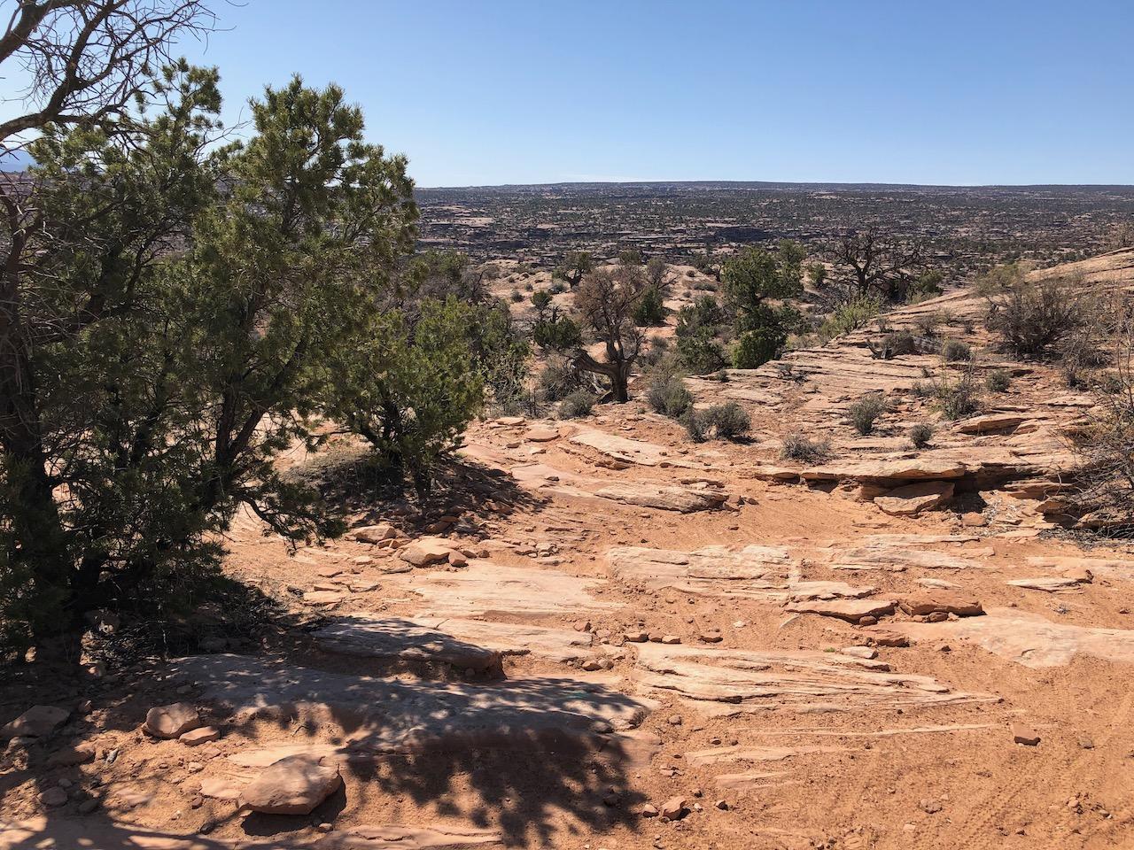 Rocky Tops Ramblin Loop - Photo 14