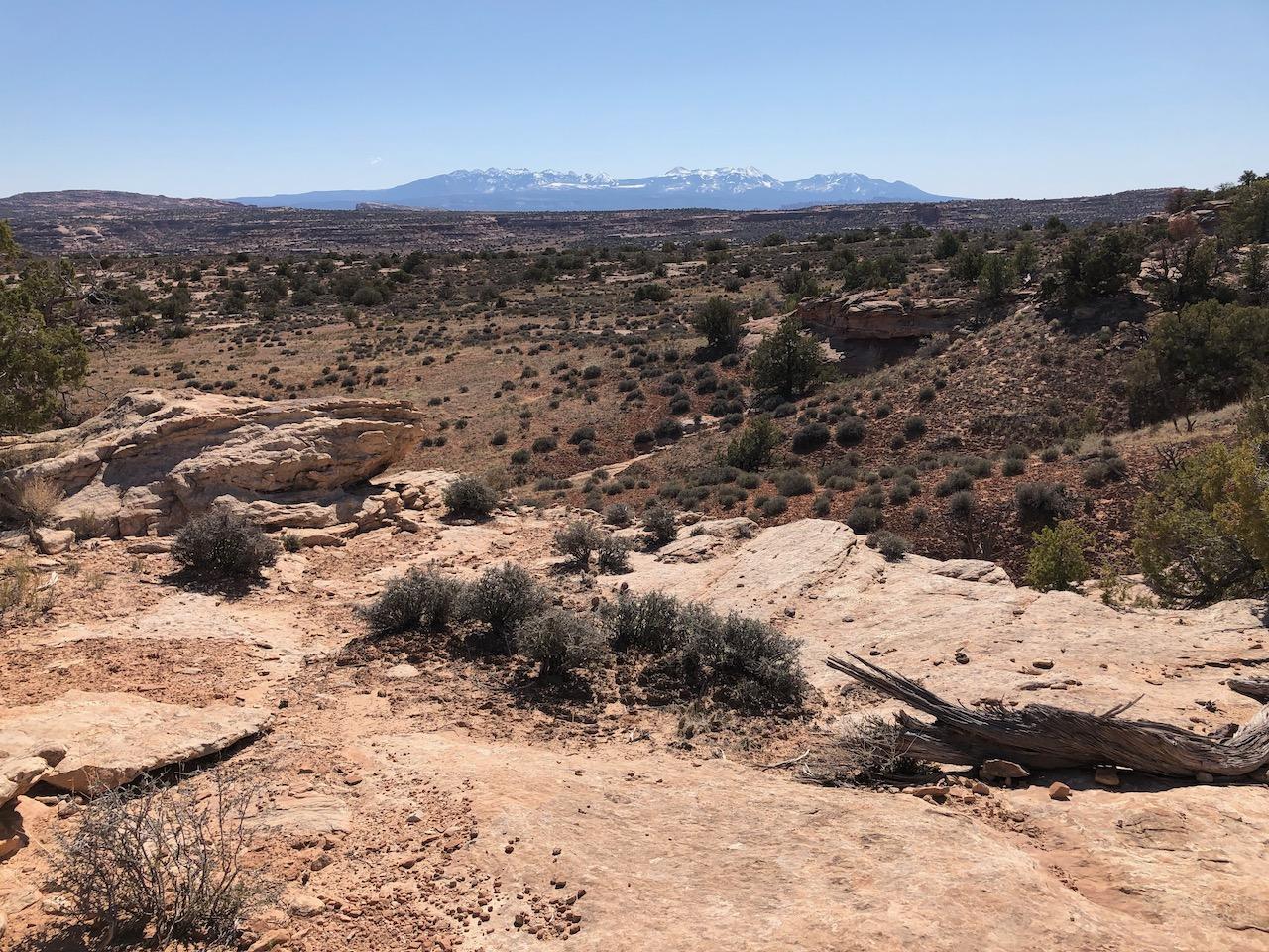 Rocky Tops Ramblin Loop - Photo 15