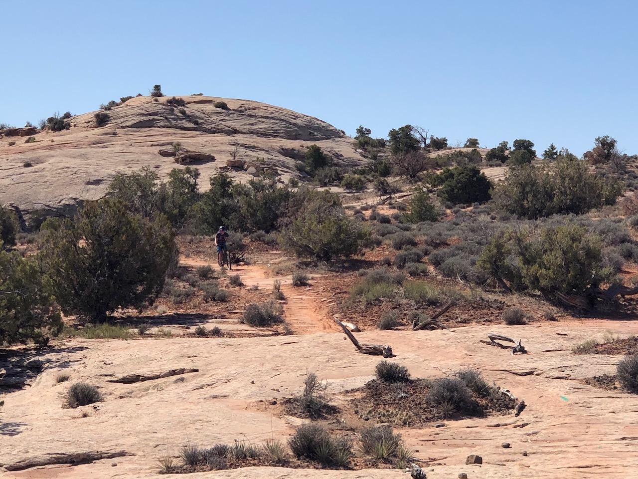 Rocky Tops Ramblin Loop - Photo 17