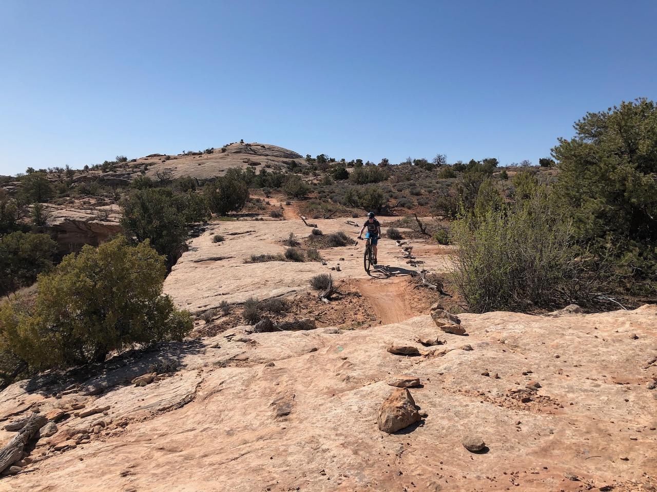 Rocky Tops Ramblin Loop - Photo 19