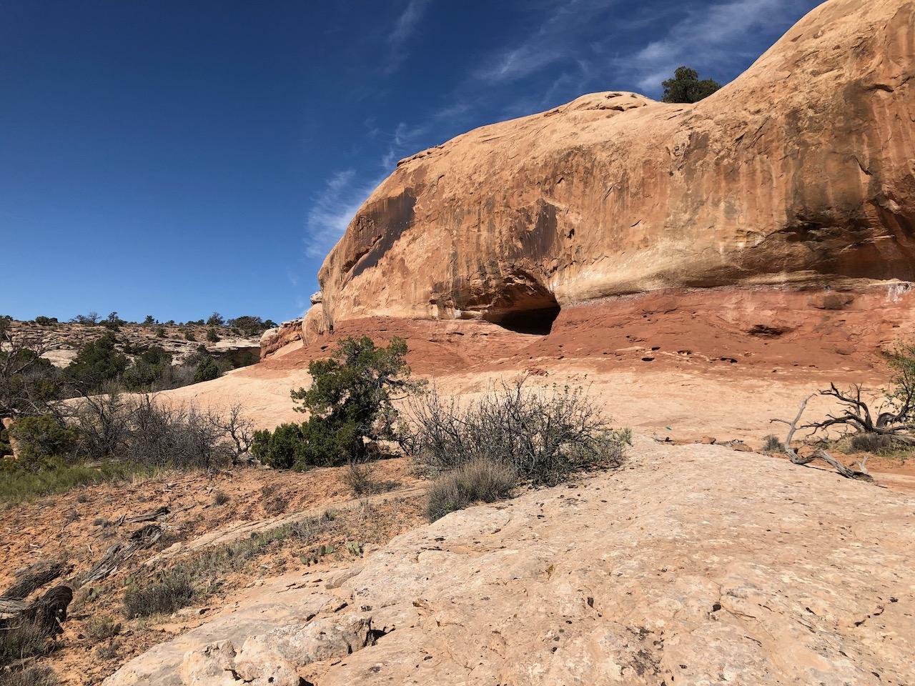 Rocky Tops Ramblin Loop - Photo 23