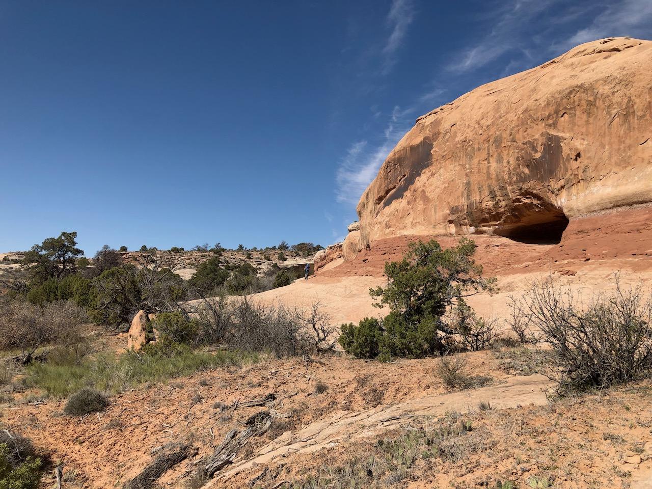 Rocky Tops Ramblin Loop - Photo 24