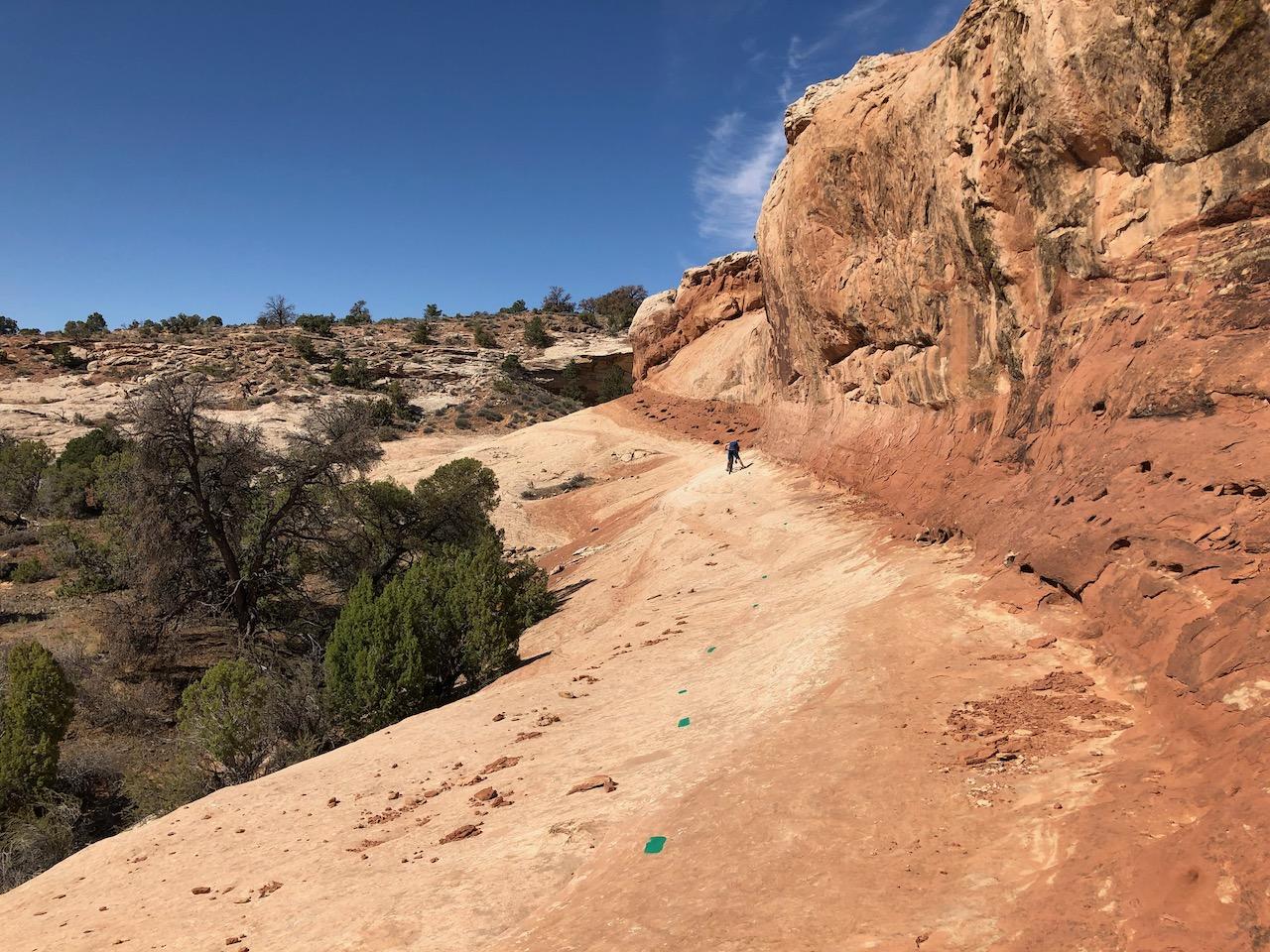 Rocky Tops Ramblin Loop - Photo 25