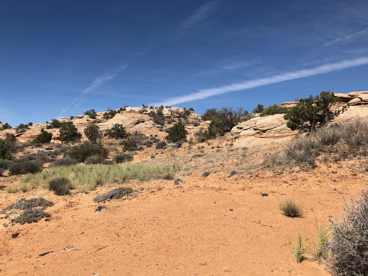 Rocky Tops Ramblin Loop - Photo 30