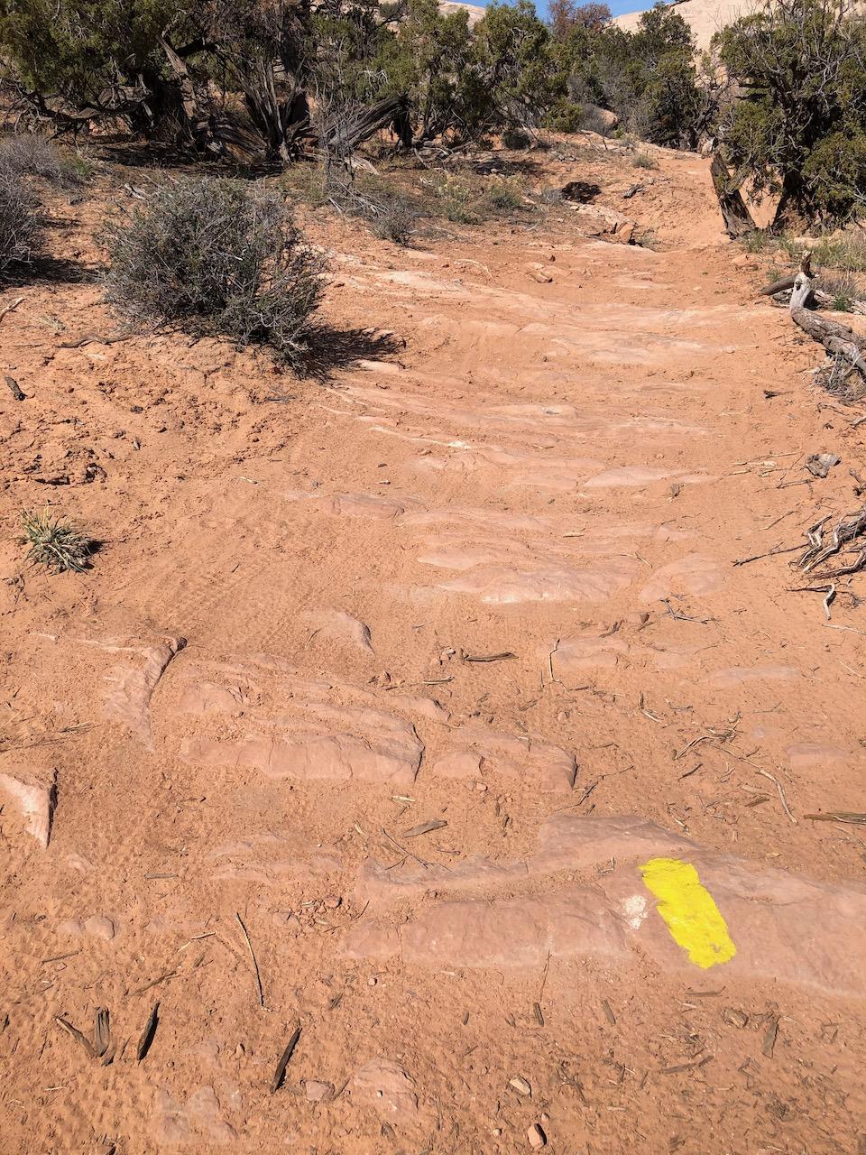 Rocky Tops Ramblin Loop - Photo 33