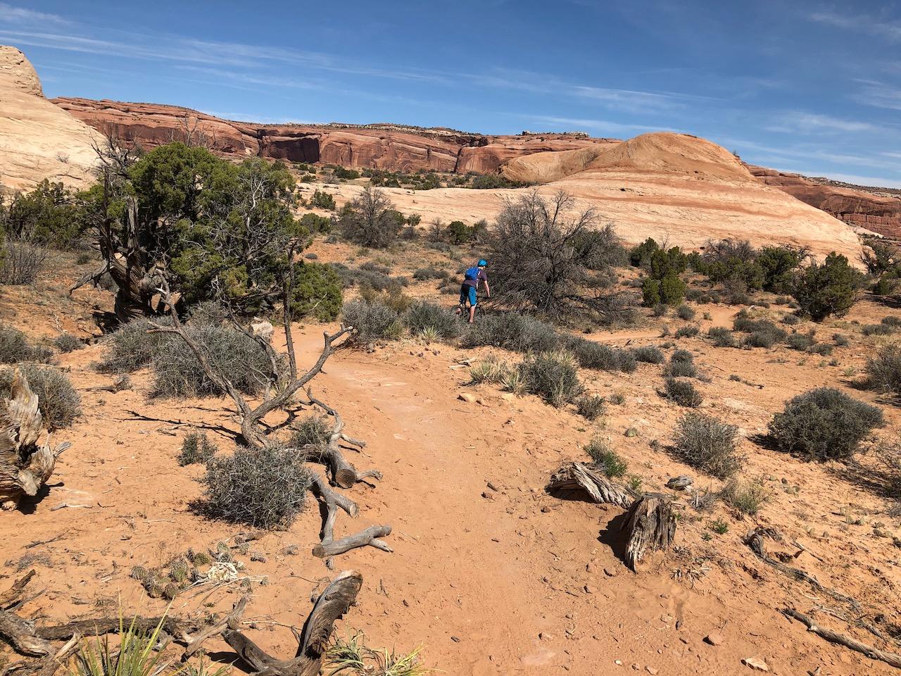 Rocky Tops Ramblin Loop - Photo 34