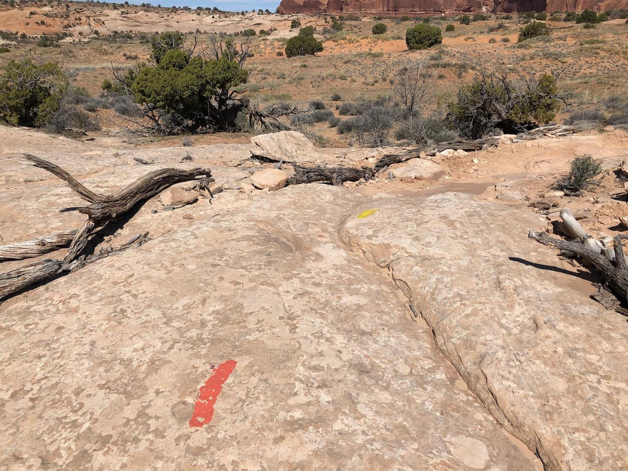 Rocky Tops Ramblin Loop - Photo 35