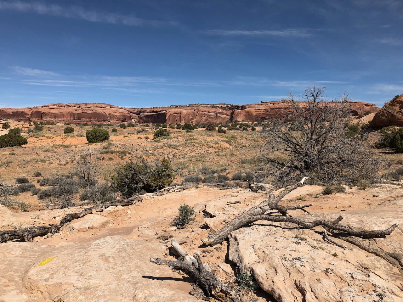 Rocky Tops Ramblin Loop - Photo 36