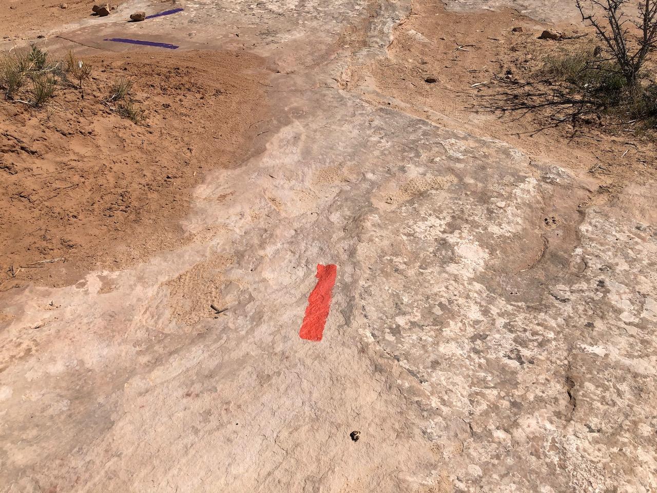 Rocky Tops Ramblin Loop - Photo 45