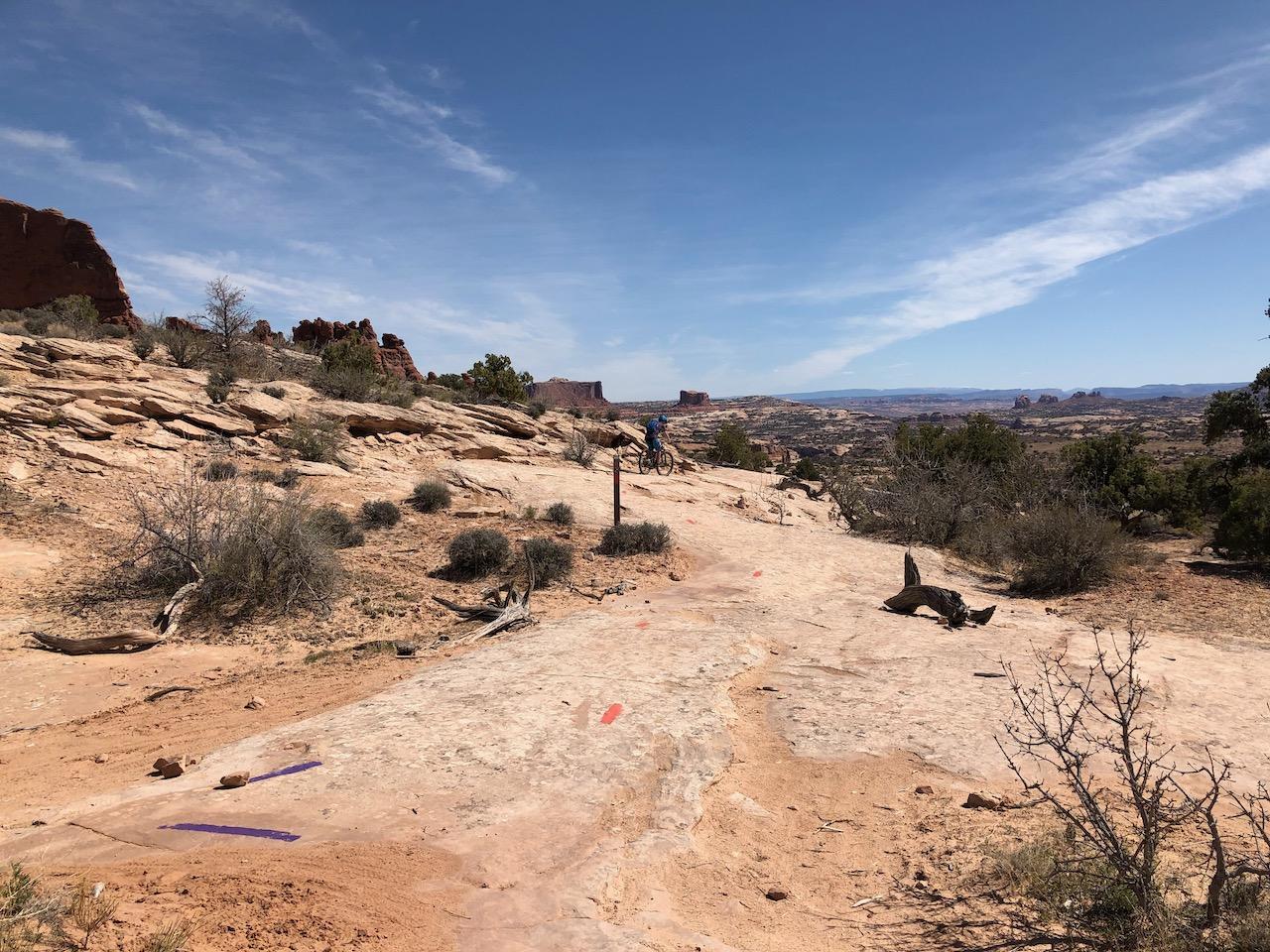 Rocky Tops Ramblin Loop - Photo 46