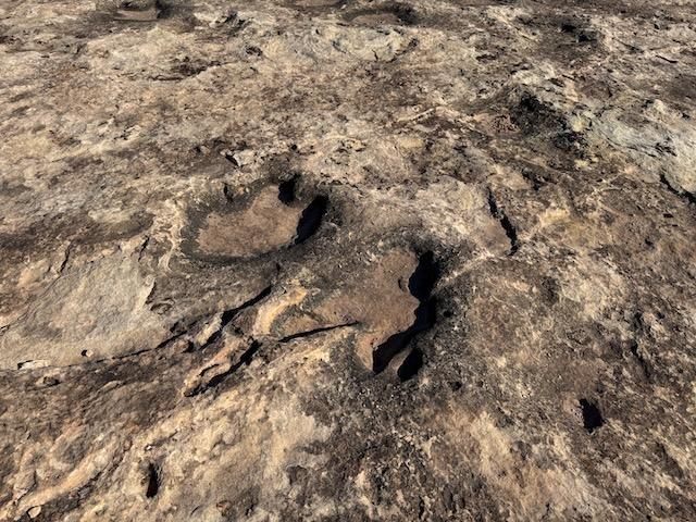 Dinosaur Stomping Grounds