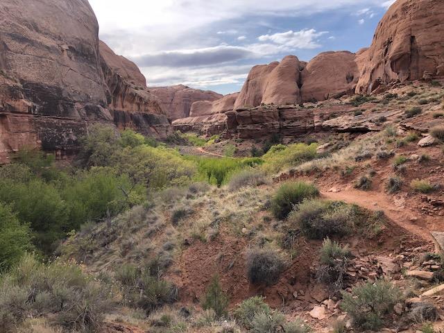 Morning Glory Natural Bridge - Photo 2