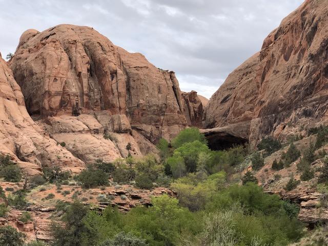 Morning Glory Natural Bridge - Photo 3