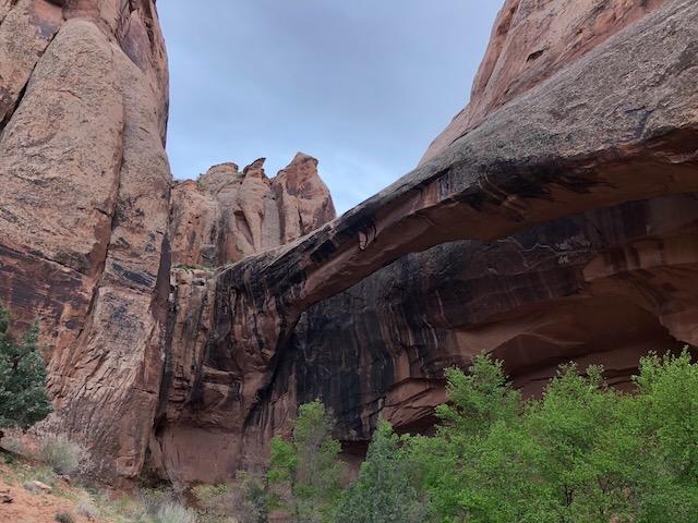 Morning Glory Natural Bridge - Photo 5