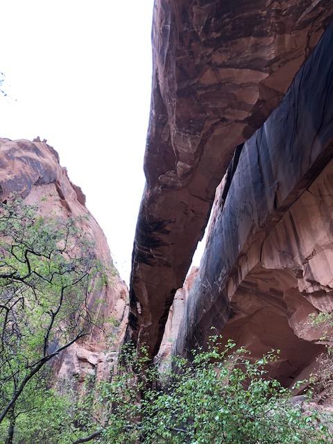 Morning Glory Natural Bridge - Photo 6