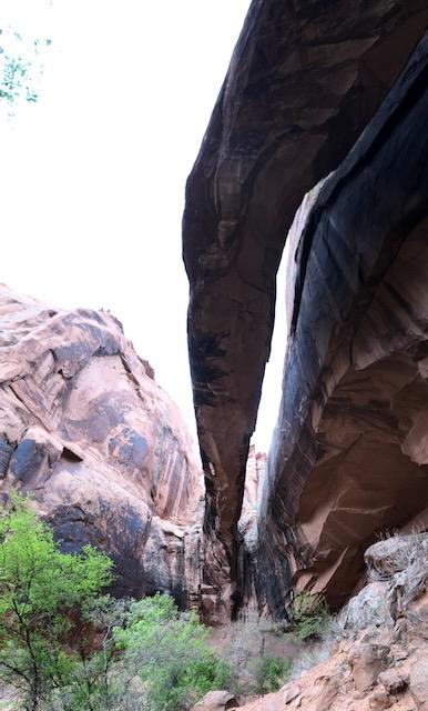 Morning Glory Natural Bridge - Photo 7