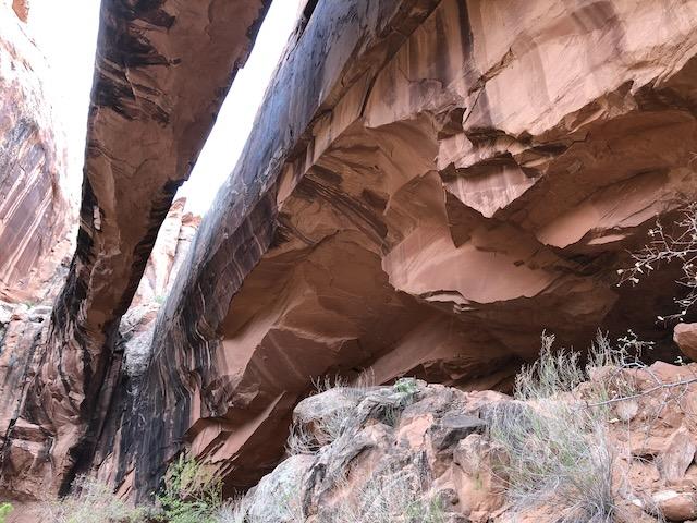 Morning Glory Natural Bridge