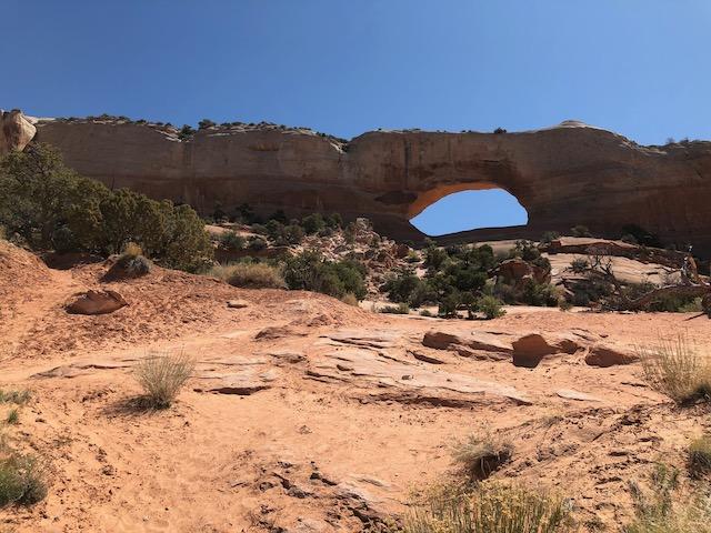 Needles Overlook - Photo 3