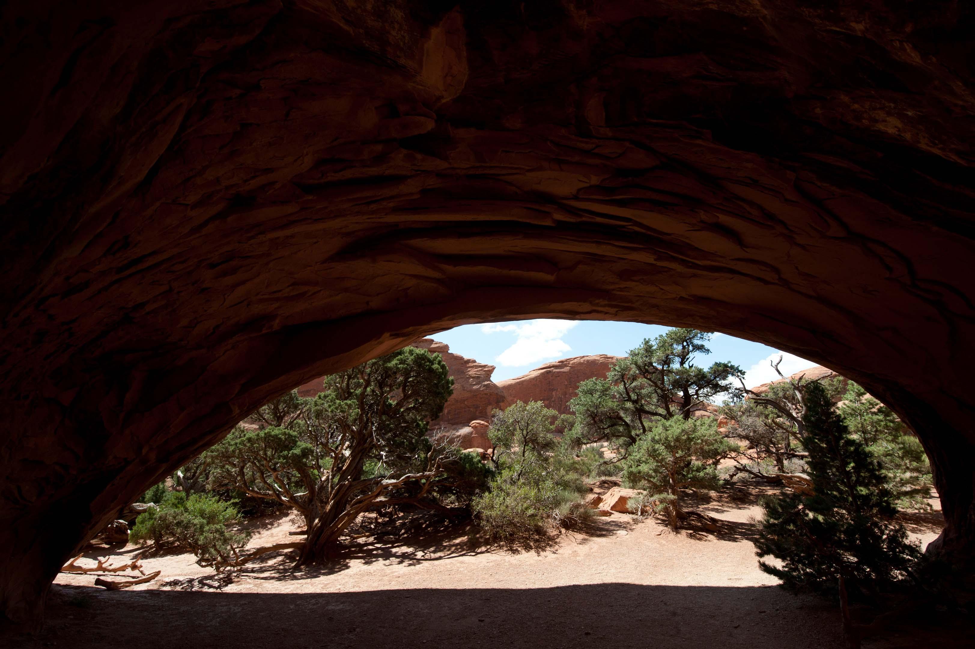 Devils Garden - Photo 1