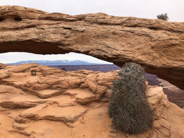 Mesa Arch - Photo 3