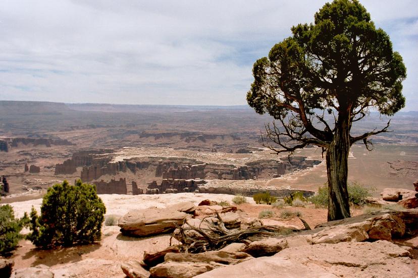 White Rim Overlook